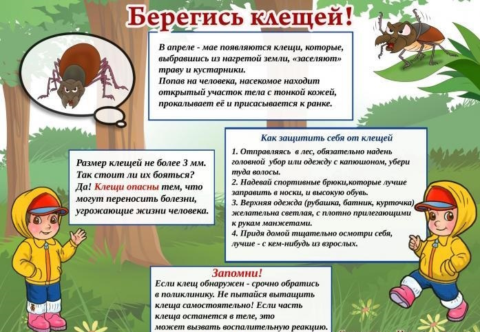 Памятка для родителей «Осторожно — клещи!»